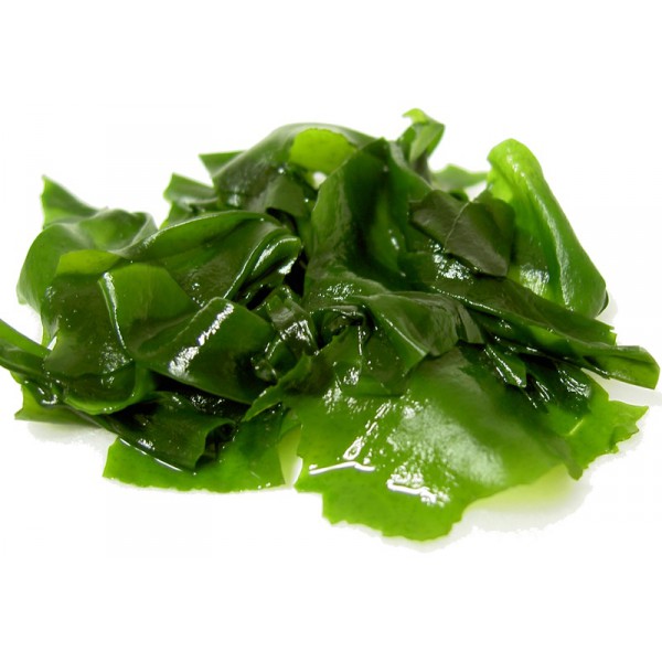 Algue wakame